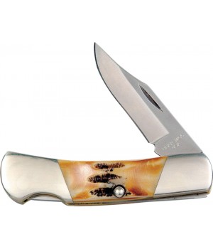 Bear & Son Executive Lockback Stag Bone