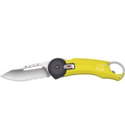 Buck Redpoint Yellow