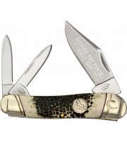 Colt Buckshot Bone SwaybackWhittler