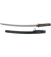 Paul Chen Shinto Wakizashi