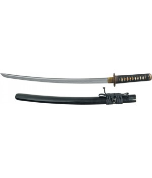 Paul Chen Shinto Wakizashi