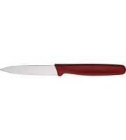 Victorinox Paring Knife