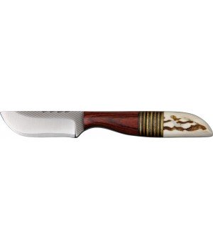 Anza Whitetail Medium