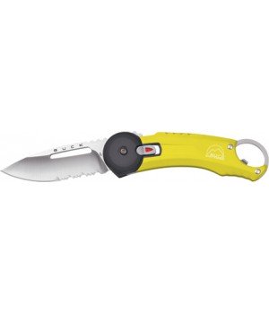 Buck Redpoint Yellow