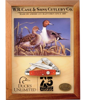 Case Ducks Unlimited 75th Anniversary Stockman.