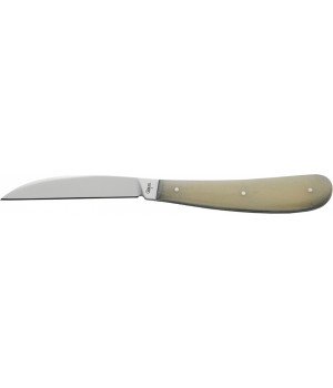 Case Desk Knife