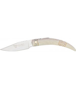 H&R Deer Horn Folder