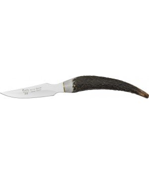 H&R Stag Tip Knife